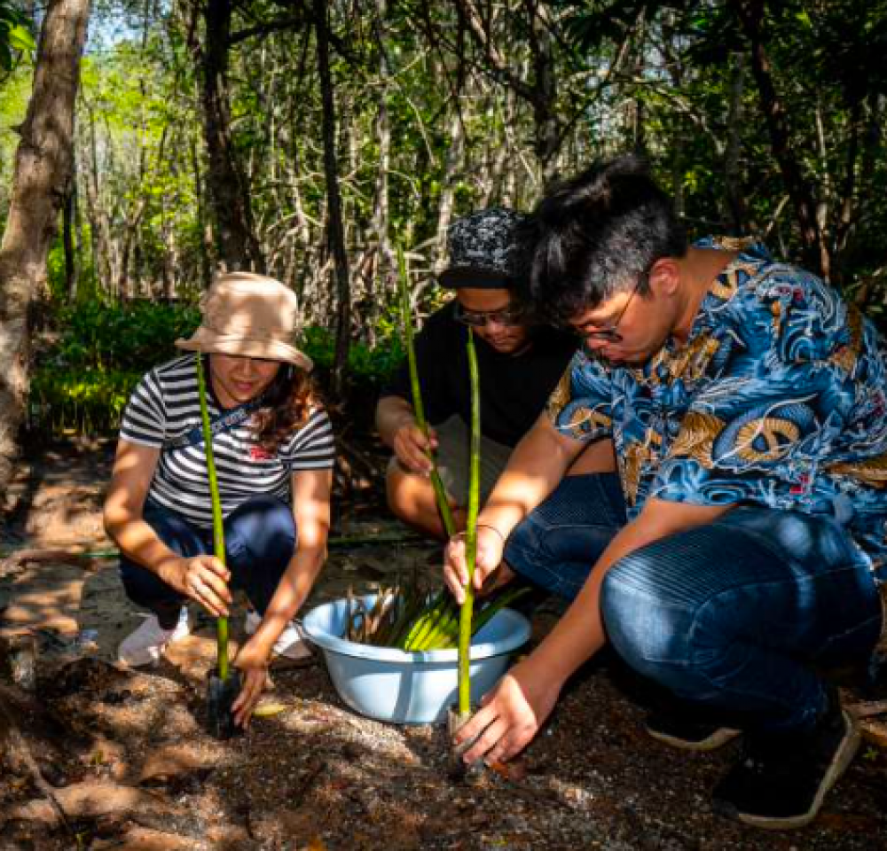 Kung Krabaen Bay Mangrove Study Centre