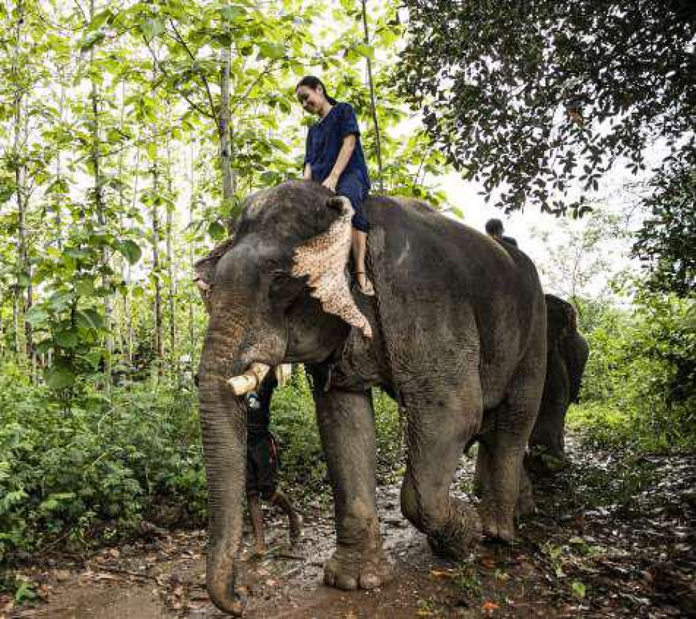 Maesin Elephant Camp