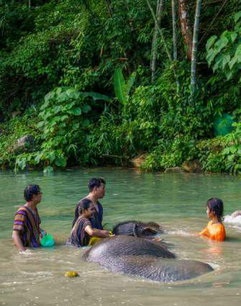 Elephant Jungle Sanctuary Phuket