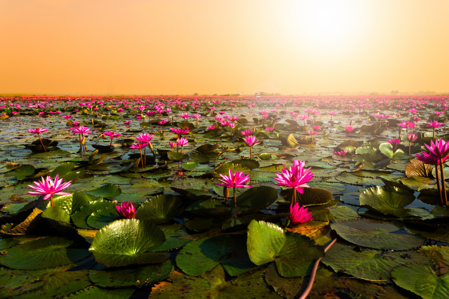 (JUN22) Udon Thani 