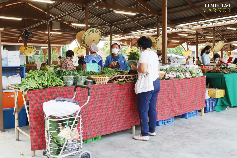 (AUG22) Chiang Mai 