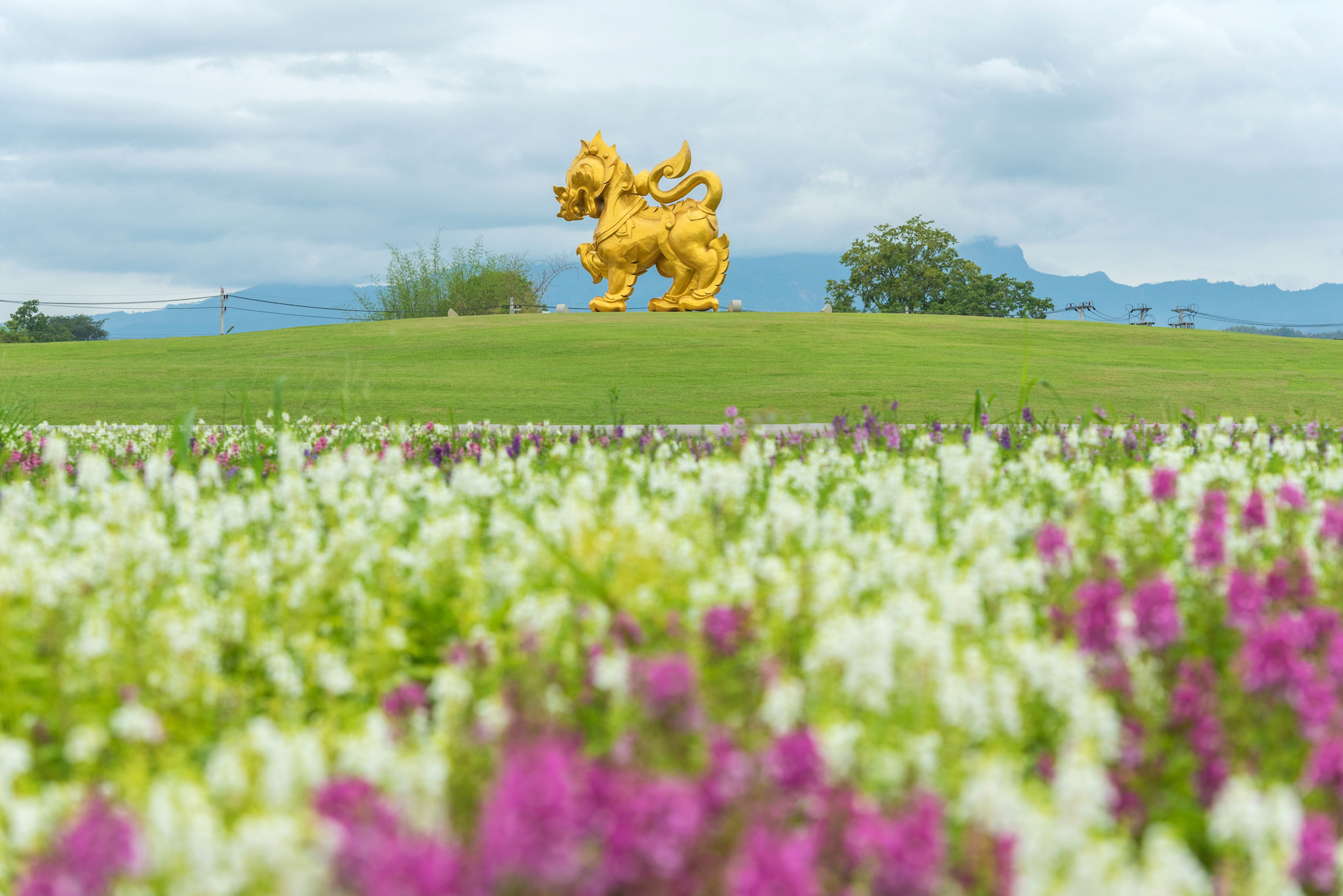MUST JOIN : Singha Park
