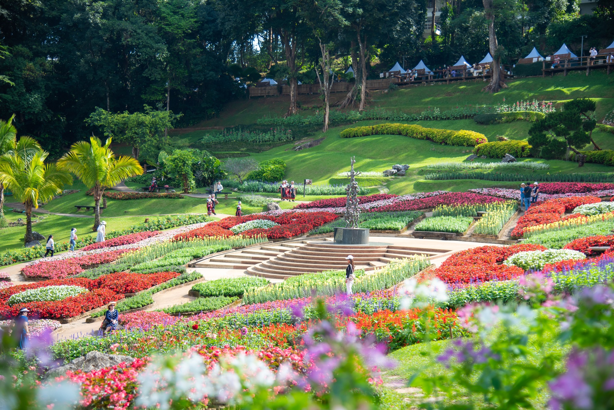 MUST SEE Doi Tung Development Project