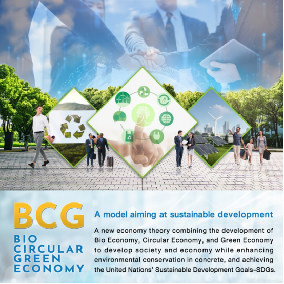 What is BCG Economy Model? How is it related to MICE Industry?