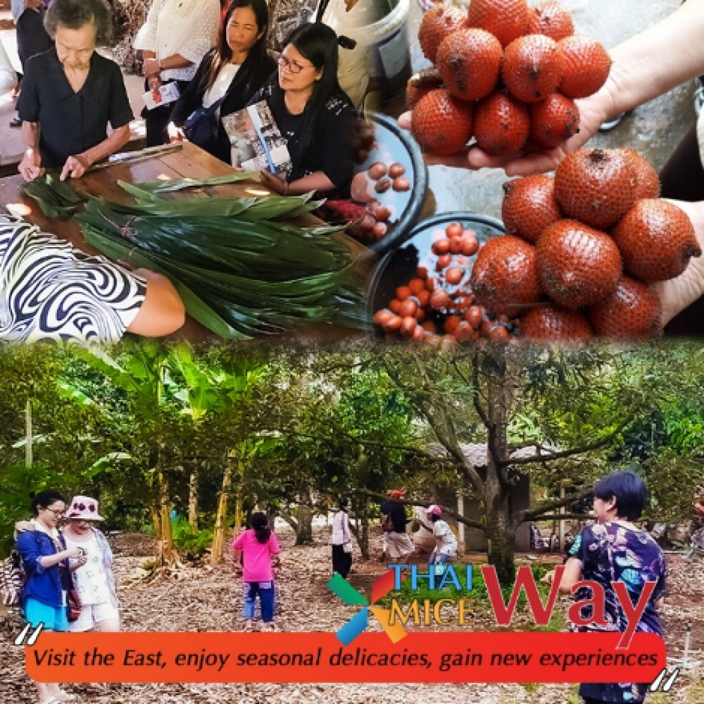 Thai Way x MICE Way Visit the East, enjoy seasonal delicacies, gain unique experiences 